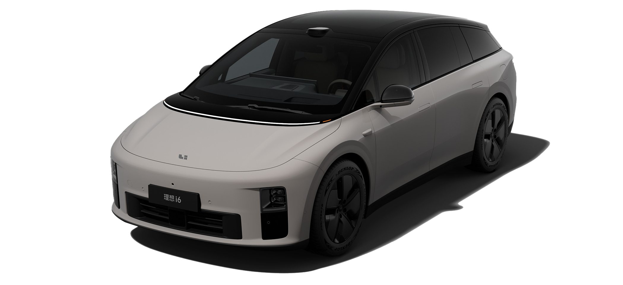 Серый акулий