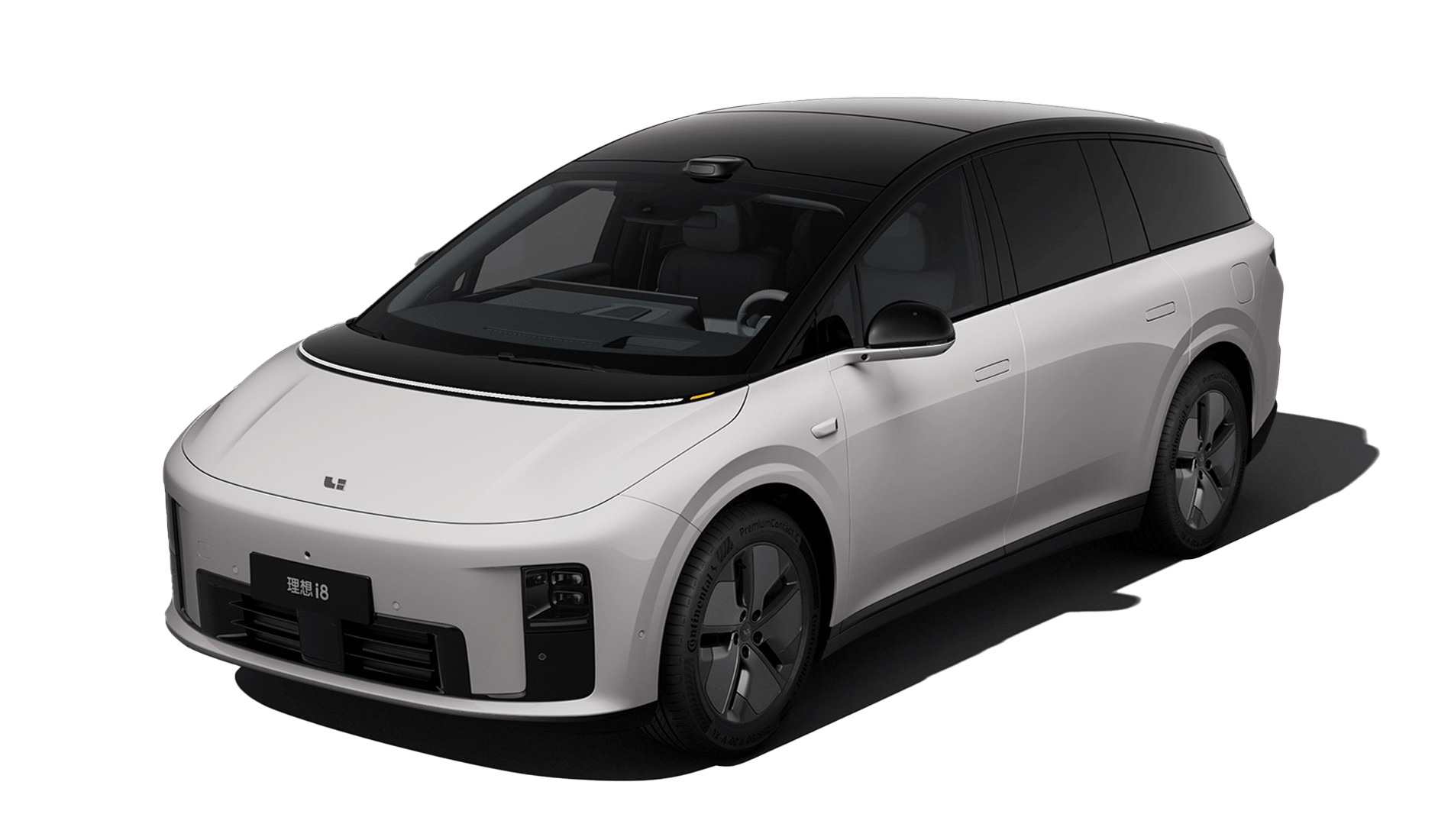 Cлоновий серый